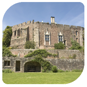 Berkeley Castle for a Perfect Wedding Ceremony